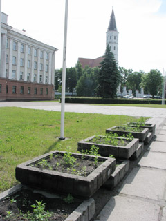 Vėliavos papėdėje želia balandos
