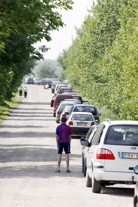 Per dvi dienas – vištų rekordas Per dvi dienas – vištų rekordas