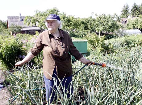 Ramybę drumsčia tik vabalai ir lėktuvai Ramybę drumsčia tik vabalai ir lėktuvai