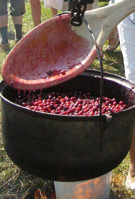 Žagarėje prasideda Vyšnių festivalis Žagarėje prasideda Vyšnių festivalis