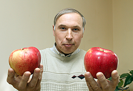 „Rubino“ milžinai „Rubino“ milžinai