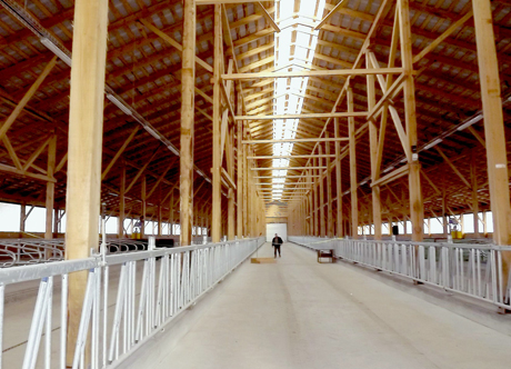 Skaistgiryje atidaryta viena moderniausių fermų šalyje Skaistgiryje atidaryta viena moderniausių fermų šalyje