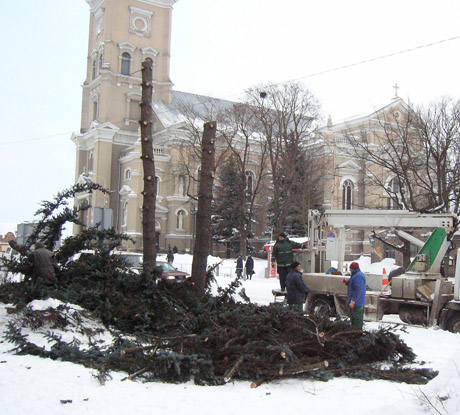 Eglės „paaukotos“ dėl kamerų Eglės „paaukotos“ dėl kamerų