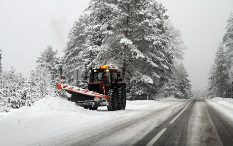 Meteorologai žada ne pavasarį, o ankstyvą vasarą Meteorologai žada ne pavasarį, o ankstyvą vasarą