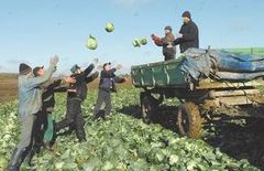Ūkininkams reikia darbuotojų, norinčių dirbti Ūkininkams reikia darbuotojų, norinčių dirbti