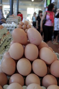 Lietuvoje GMO lesa kas antra višta Lietuvoje GMO lesa kas antra višta