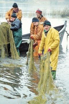 Vandenų nuoma: noras padėti gamtai ar įteisintas brakonieriavimas? Vandenų nuoma: noras padėti gamtai ar įteisintas brakonieriavimas?