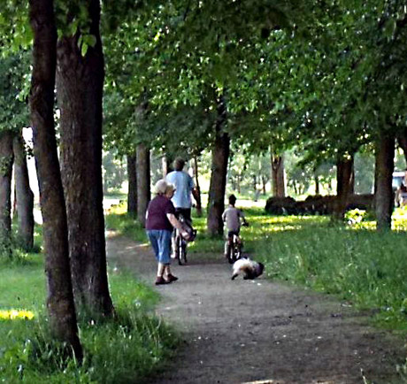 Skulptūrų parką siūloma palikti žmonėms Skulptūrų parką siūloma palikti žmonėms