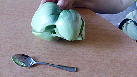 Pomidoras milžinas Pomidoras milžinas