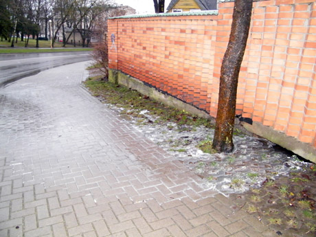 Kas bėga iš po pieninės tvoros? Kas bėga iš po pieninės tvoros?