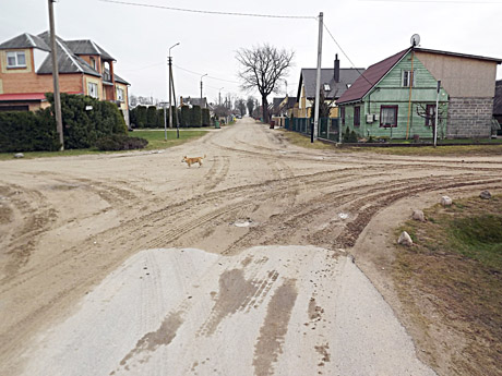 Taryba svarstys, ar reikia tvarkyti gatvę Taryba svarstys, ar reikia tvarkyti gatvę