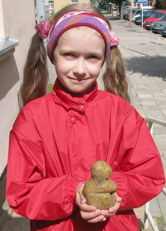 Bulvė – seneliukas Bulvė – seneliukas