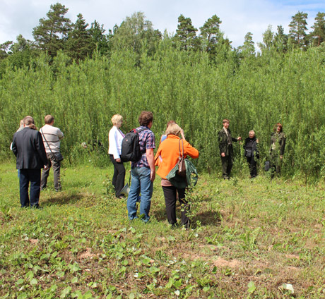 Šiaulių ir Jelgavos mokslininkai konferencijoje Latvijoje diskutavo biokuro auginimo klausimus