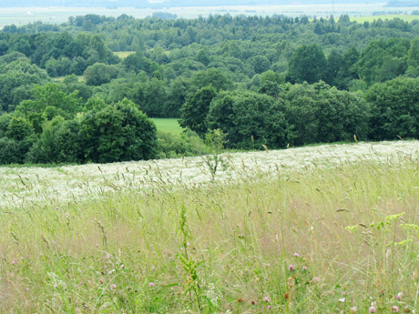 Orai: sulauksime ir saulės spindulių, ir lietaus Orai: sulauksime ir saulės spindulių, ir lietaus