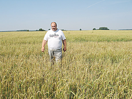 Kruša „iškūlė“ miežių lauką Kruša „iškūlė“ miežių lauką