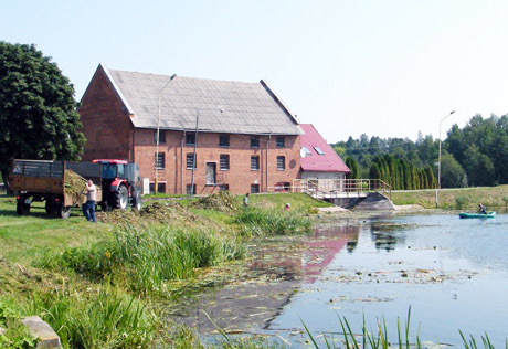 Iš Kražantės „prišienauta“ per šimtas tonų augalų Iš Kražantės „prišienauta“ per šimtas tonų augalų