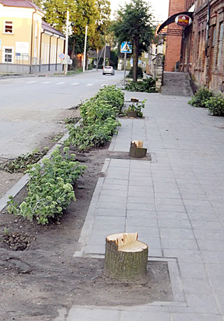 Žagarės centre naikinami medžiai