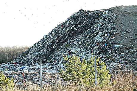 Milijonai dings tarp šiukšlių Milijonai dings tarp šiukšlių