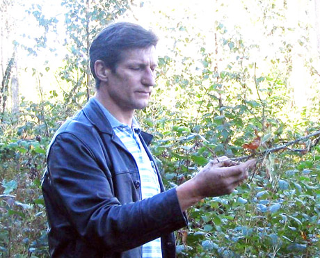 Miško buveinės – rojus augalams ir gyvūnams