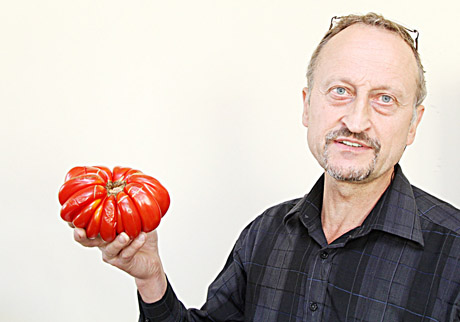 Sunkiasvoris pomidoras Sunkiasvoris pomidoras