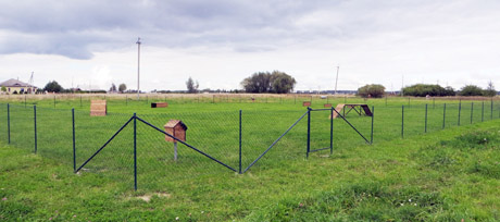 Joniškiečiai jau turi šunų vedžiojimo aikštelę Joniškiečiai jau turi šunų vedžiojimo aikštelę