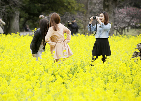 Japonų turistus šokiruoja prašantys išmaldos ir maudynės ežeruose Japonų turistus šokiruoja prašantys išmaldos ir maudynės ežeruose