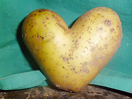 Ru­dens gė­ry­bės