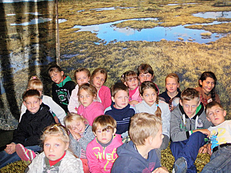 Gamtos pamoka Kamanų rezervate Gamtos pamoka Kamanų rezervate