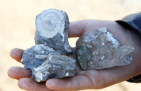 Stovyklautojai rado mįslingų geologijos senienų Stovyklautojai rado mįslingų geologijos senienų