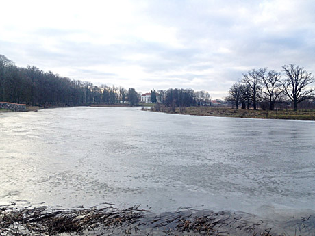 Gelbėjo gyventojus, bet užliejo dvarą
