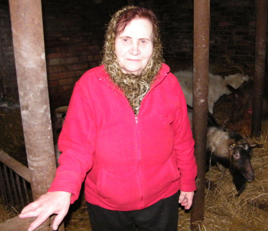 Vietoje karvės – dvylika ožkų Vietoje karvės – dvylika ožkų