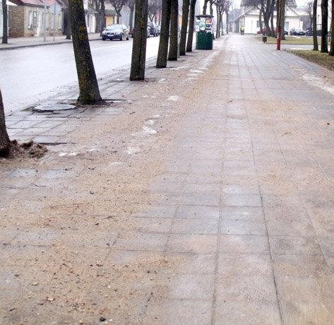 Pakruojo valdžiai – šaligatvių šlavimo pamoka Pakruojo valdžiai – šaligatvių šlavimo pamoka