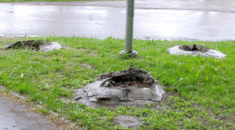 Nykštukai į parką nebegrįš Nykštukai į parką nebegrįš