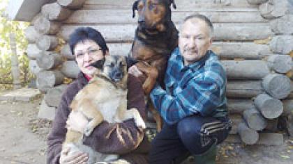 Buvusi darbovietė tapo šunų namais