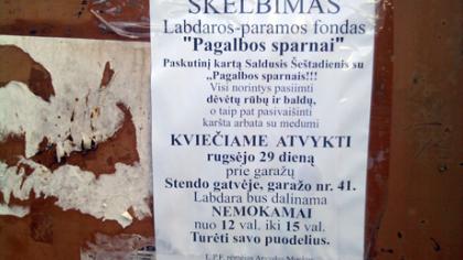 Labdara prie garažų su politiko pavarde
