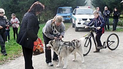 Parke rinkosi gyvūnų mylėtojai