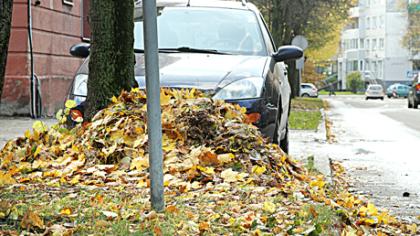 Miesteliai šluosto nosį miestui