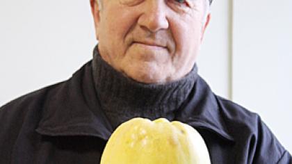 Obuolys galiūnas