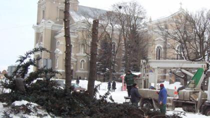 Eg­lės „paau­ko­tos“ dėl ka­me­rų