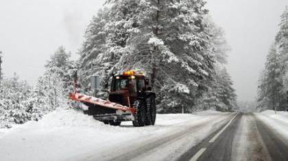 Meteorologai žada ne pavasarį, o ankstyvą vasarą