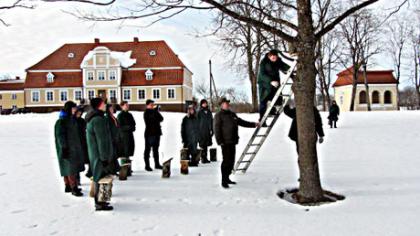 Devyniasdešimt paukščių pavasarių