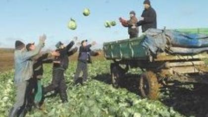 Ūkininkams reikia darbuotojų, norinčių dirbti
