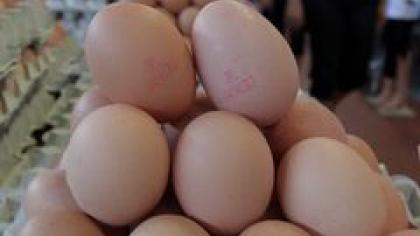 Lietuvoje GMO lesa kas antra višta