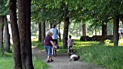 Skulptūrų parką siūloma palikti žmonėms