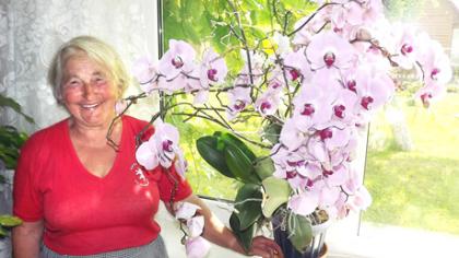 Orchidėja nustebino žiedais