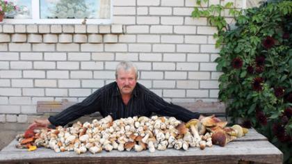 815 baravykų ir 50 raudonikių