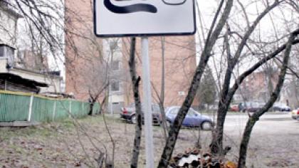 Šiauliuose įteisintos benamių kačių šėryklos