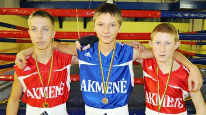 Šalies bokso pirmenybėse – trys medaliai