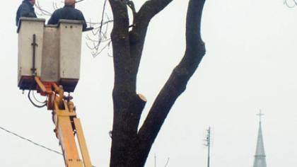 Storakamieniai nupjauti