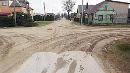 Taryba svarstys, ar reikia tvarkyti gatvę